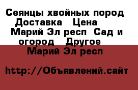 Сеянцы хвойных пород. Доставка › Цена ­ 1 - Марий Эл респ. Сад и огород » Другое   . Марий Эл респ.